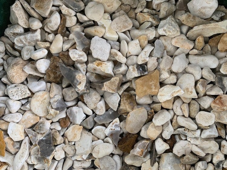 Yorkshire Cream 20mm