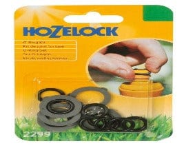 Hoz O - Ring Kit 2299P9000