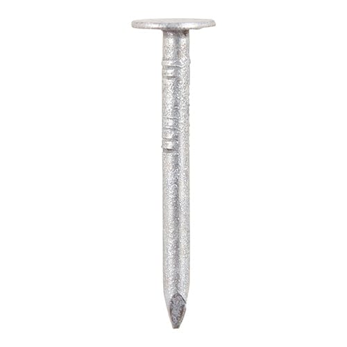 Timco - Clout Nail - Galvanised 40 x 3.35 - 2.50 KG